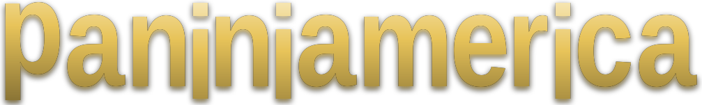 paniniamerica logo